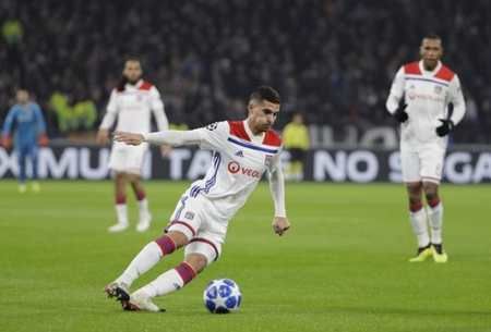 将决定他们 将决定他们